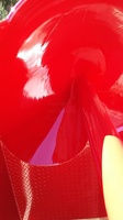 3817 wet red 