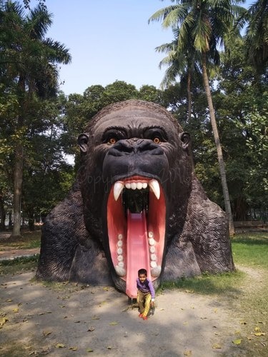 India Gorilla