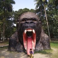 India Gorilla