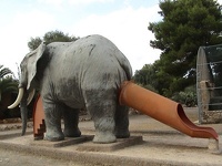 elephant