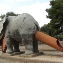 elephant