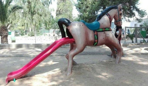 horse tail