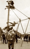 WTslide37