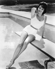 Annette-Funicello-16x20-Poster-in-swimsuit-posing-on-diving-board