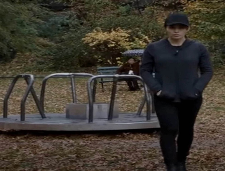 Person of Interest, Season 5, Episode 11 Synedoche
Morningside Park, near 115th and 117th
7 June 2016
M600 Merry Go Round Person of Interest 2016-2.jpg