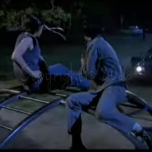 The Outsiders 1983