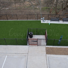Artificial Turf