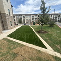 CornHole Court 