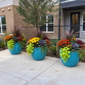 6697 Fiberglass Planters