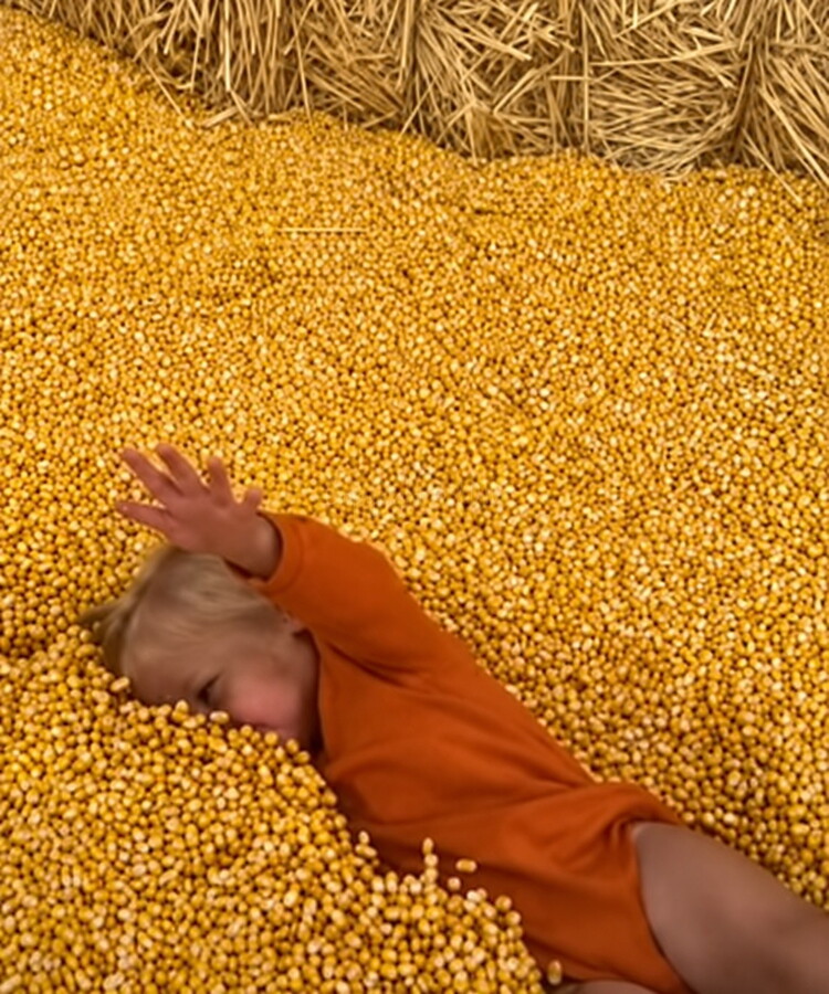 Surfacing_Corn.jpg