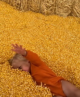 Surfacing Corn