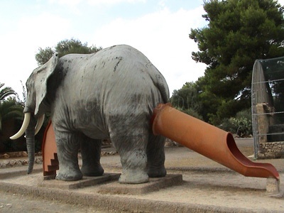 elephant